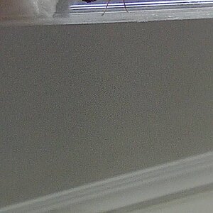 IMG_20240529_223716.jpg