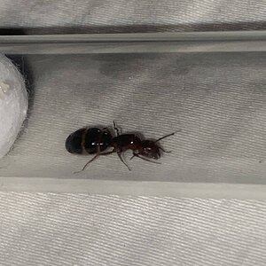 IMG_5644.jpeg