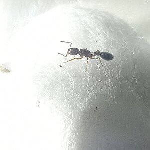 IMG20240603201306.jpg