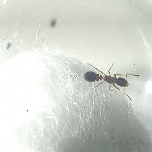 IMG20240603201240.jpg