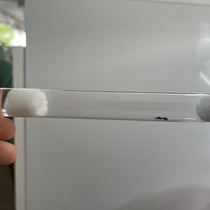 IMG_1127.jpeg