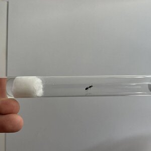IMG_1130.jpeg