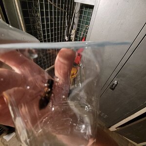 20240630_042821.jpg