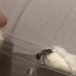 IMG_6088.jpeg