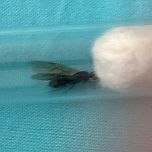 IMG_1596.jpeg