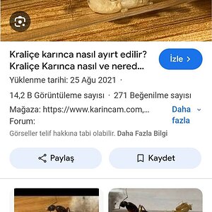 Screenshot_2024-07-28-09-18-42-22_680d03679600f7af0b4c700c6b270fe7.jpg