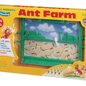 ant_farm_1.jpg