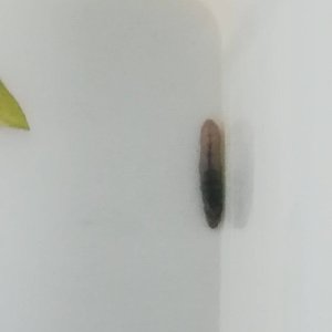 IMG_20240816_190050.jpg