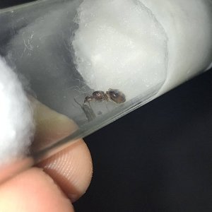 80F648DE-B4D8-4258-9A4B-626B102CFDAE.jpeg