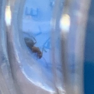 IMG_2173.jpeg
