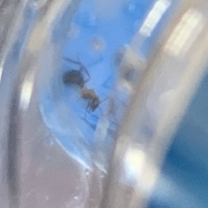 IMG_2172.jpeg