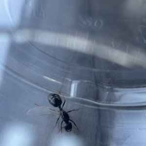 IMG_1943.jpeg