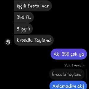 Screenshot_20240828-184028_Instagram.jpg