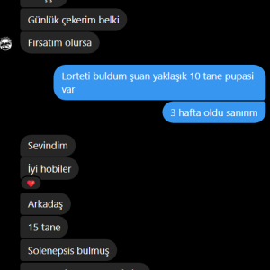 Ekran_goruntusu_2024-08-29_153038.png