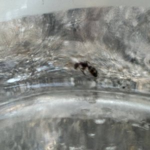 IMG_2020.jpeg