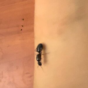 IMG_6136.jpeg