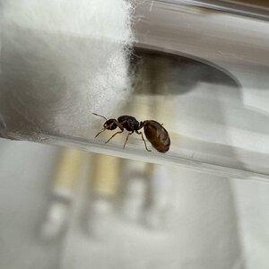 IMG_6908.jpeg