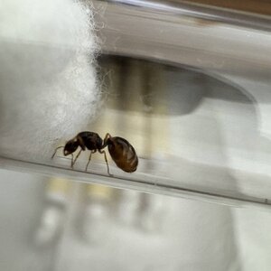 IMG_6907.jpeg