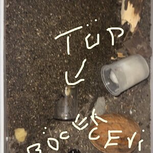 IMG_6262.jpeg