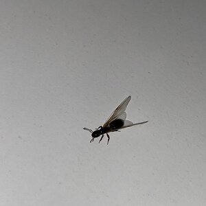 IMG_0233.jpeg