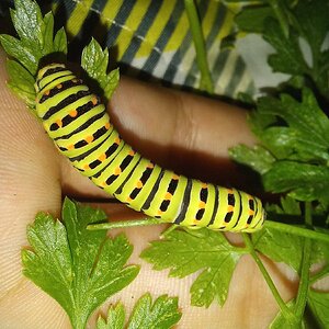 20230716_211026.jpg