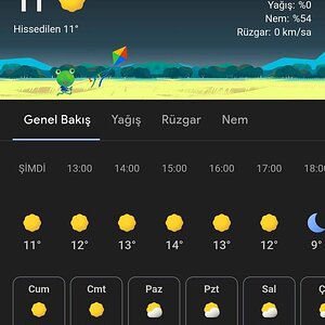 Screenshot_20241108_123334_Google.jpg