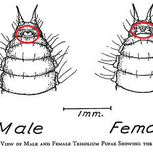 image0-1.png