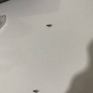 54850034-B08B-4DA3-88CF-D774A3244E36.jpeg