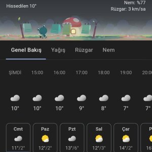 Screenshot_20241116_145251_Chrome.jpg