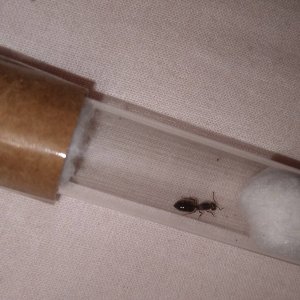 IMG-20241123-WA0012.jpeg