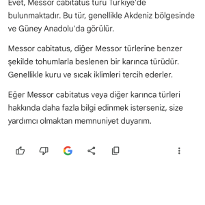Screenshot_20250203-192838.png