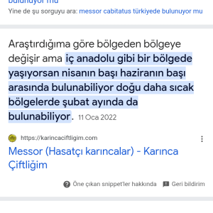 Screenshot_20250203-192804.png