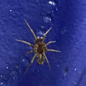 IMG_6857.jpeg