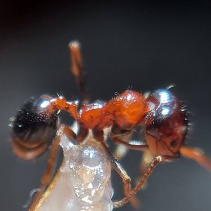 20241024_203507.jpg
