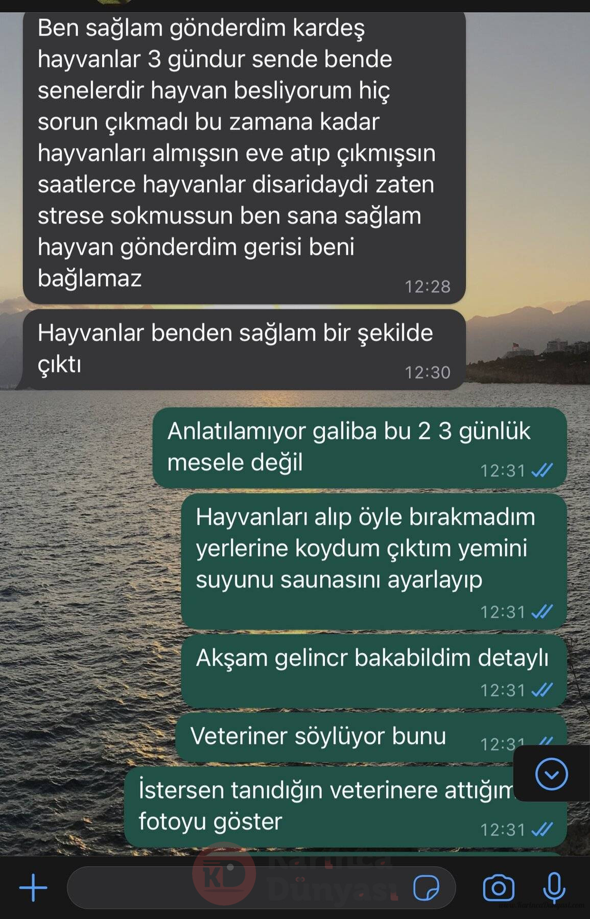 0CADB476-5F93-47BA-814D-618B0552AE88.jpeg