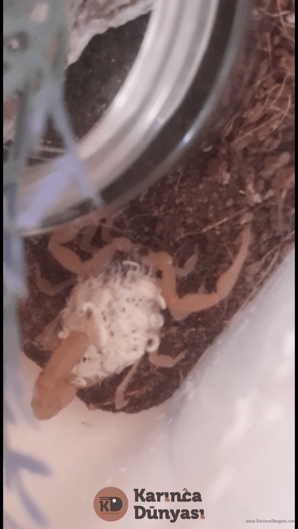 12391EDA-1C09-4120-81DD-7839C092523D.png