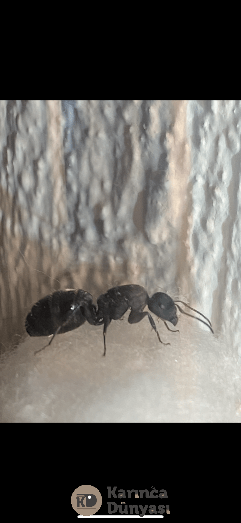 138672AF-2F0C-4E40-9C93-253E8806DDC8.png