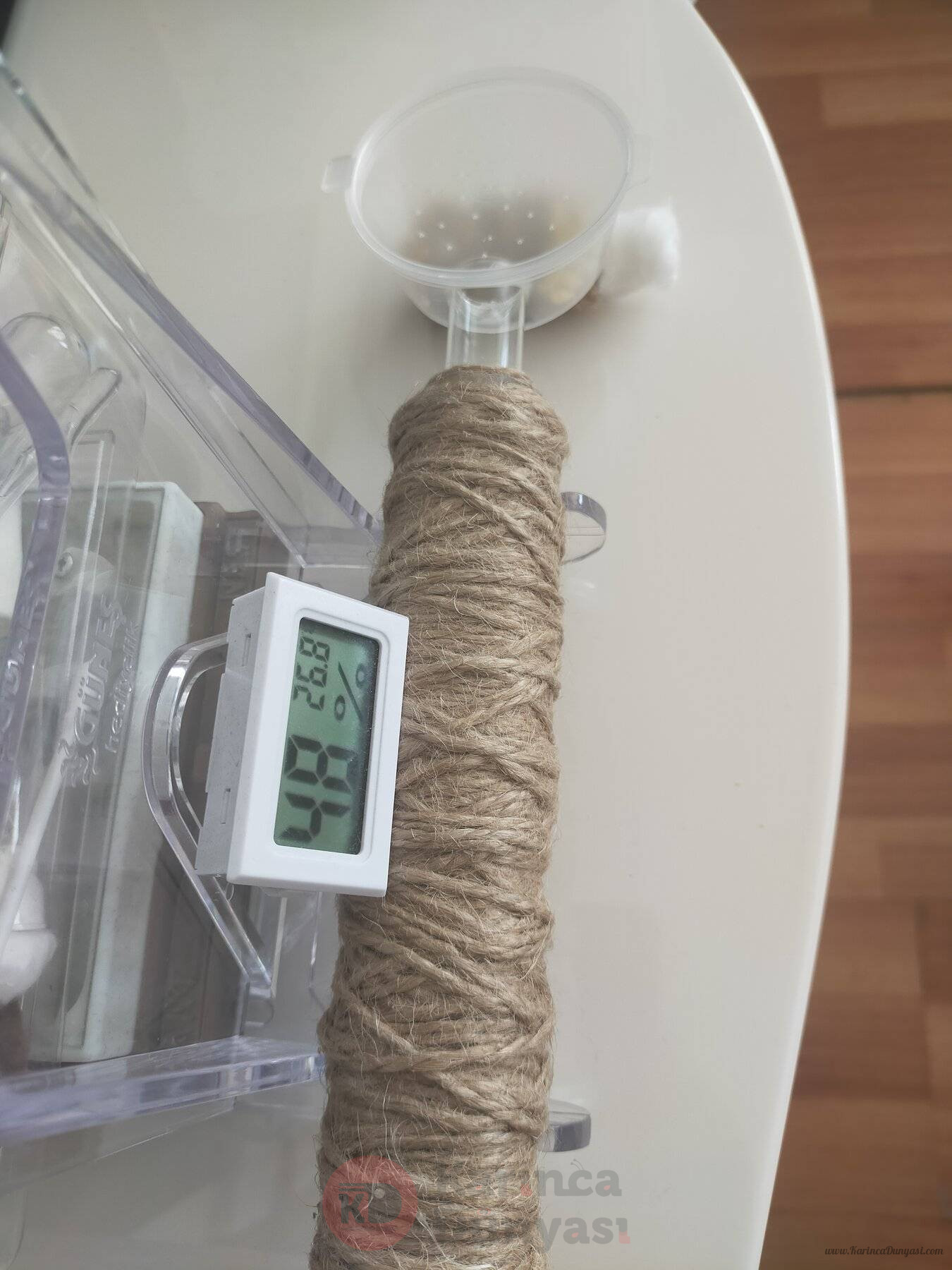 1727607208336367596592544404508.jpg