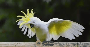 1729110841394.png