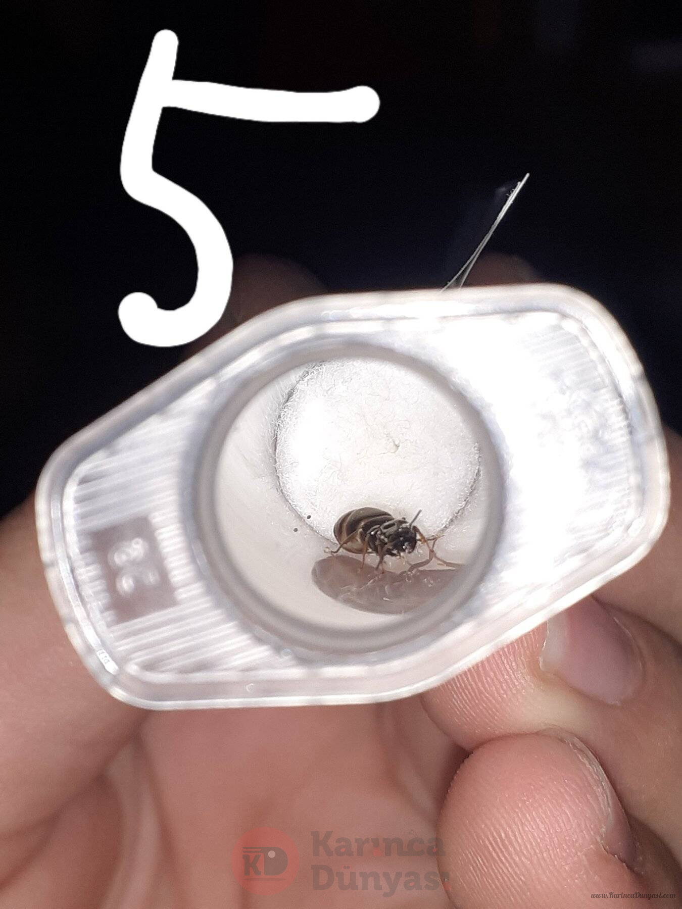 20220611_155130.jpg