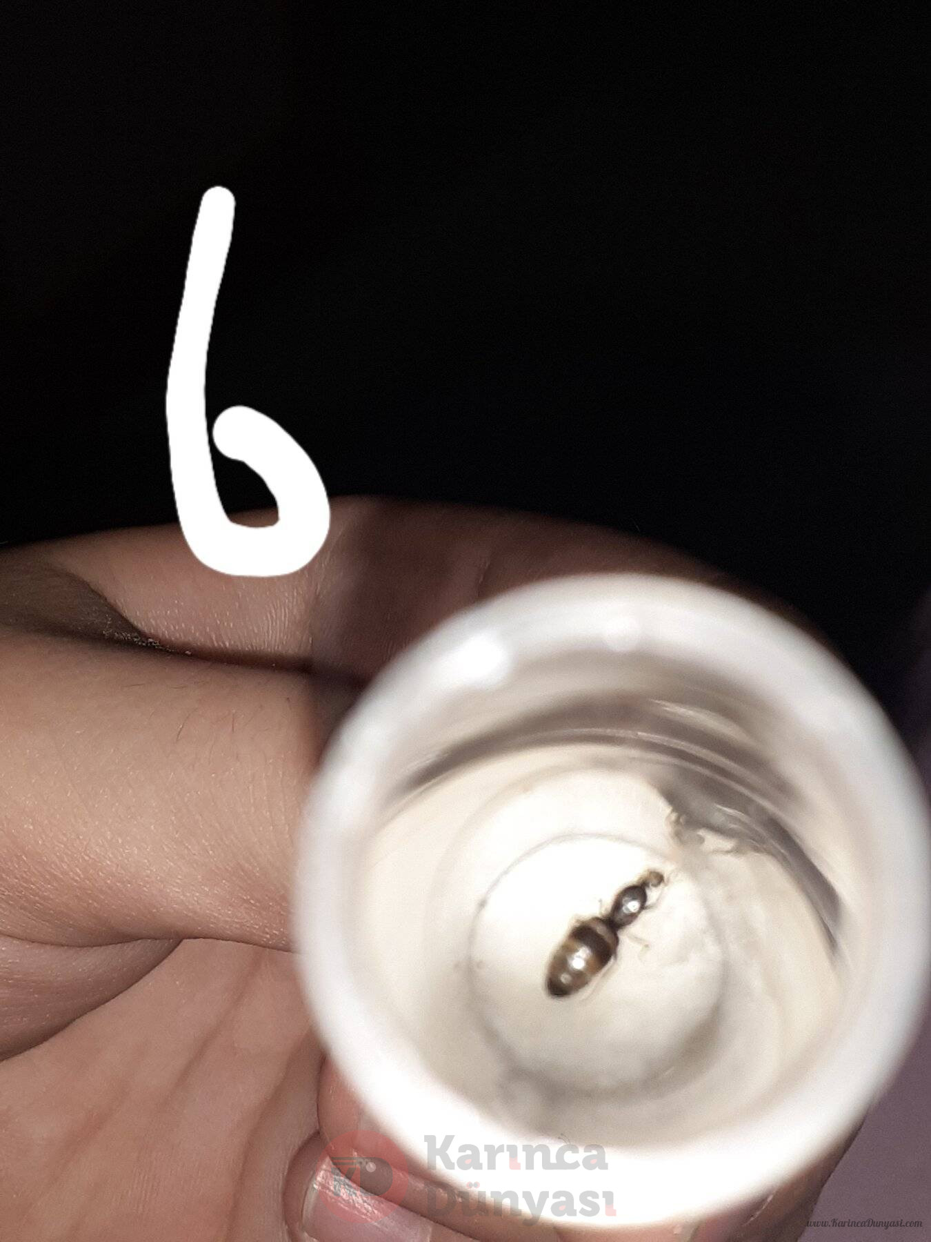 20220611_155234.jpg
