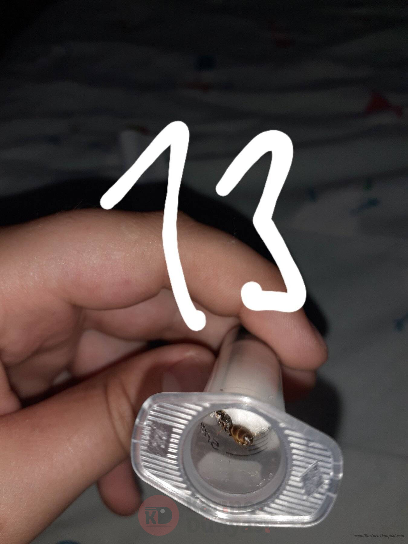 20220611_173943.jpg