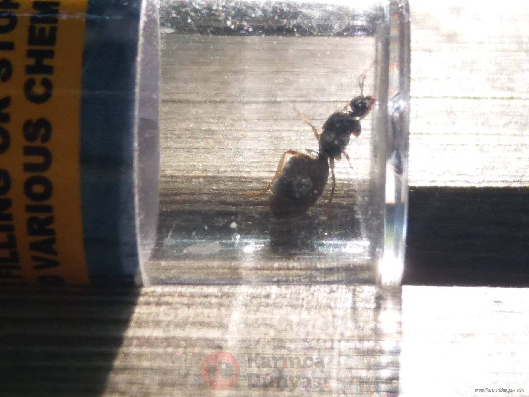 20220621_171911.jpg