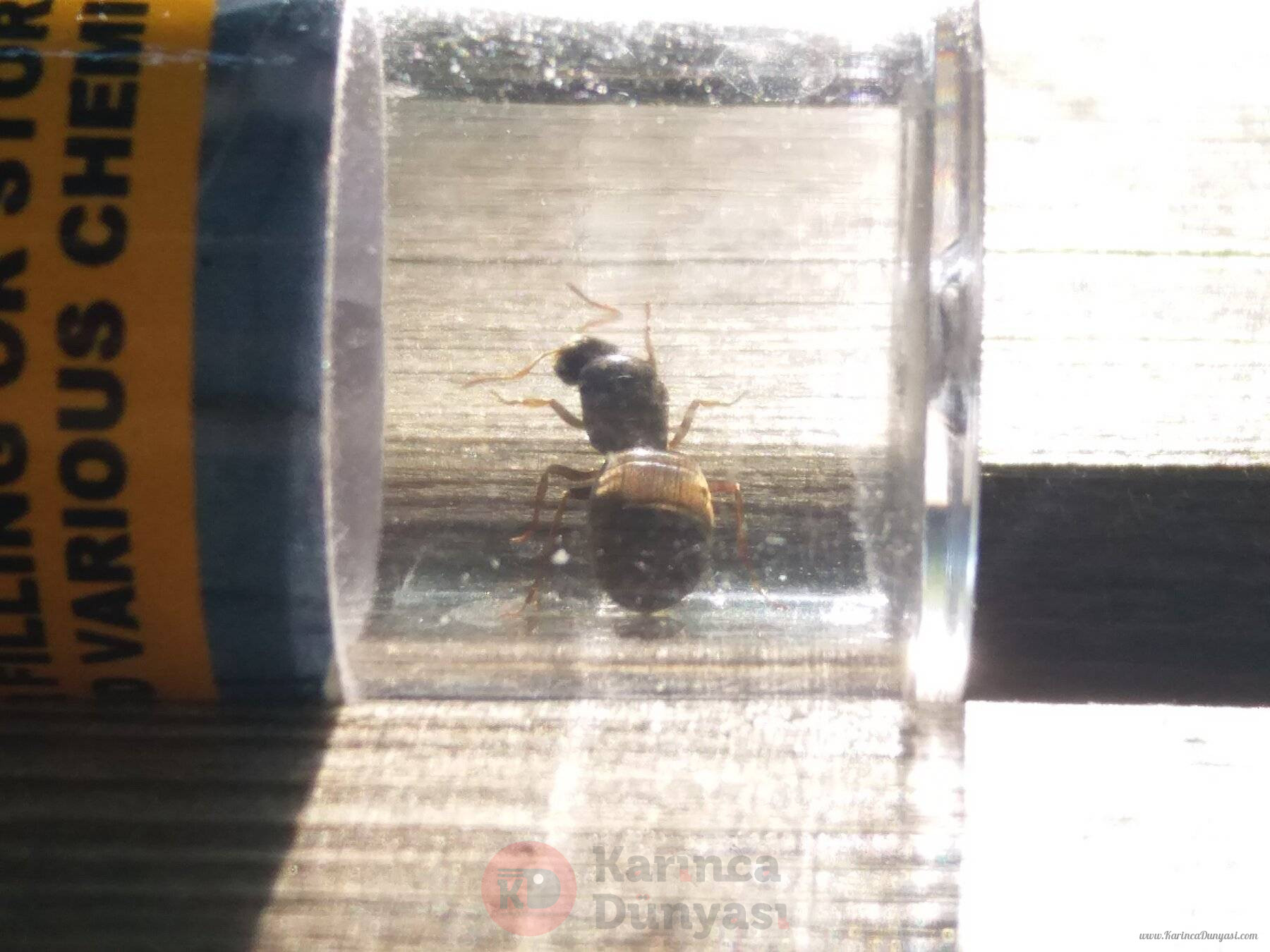 20220621_171912.jpg