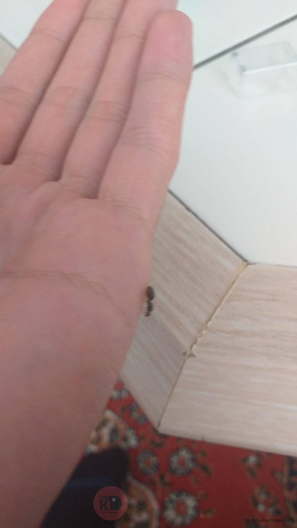 20220622_142450.jpg