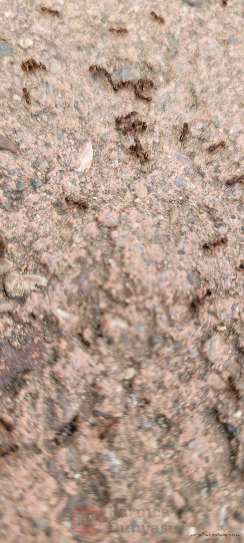20220626_152051.jpg