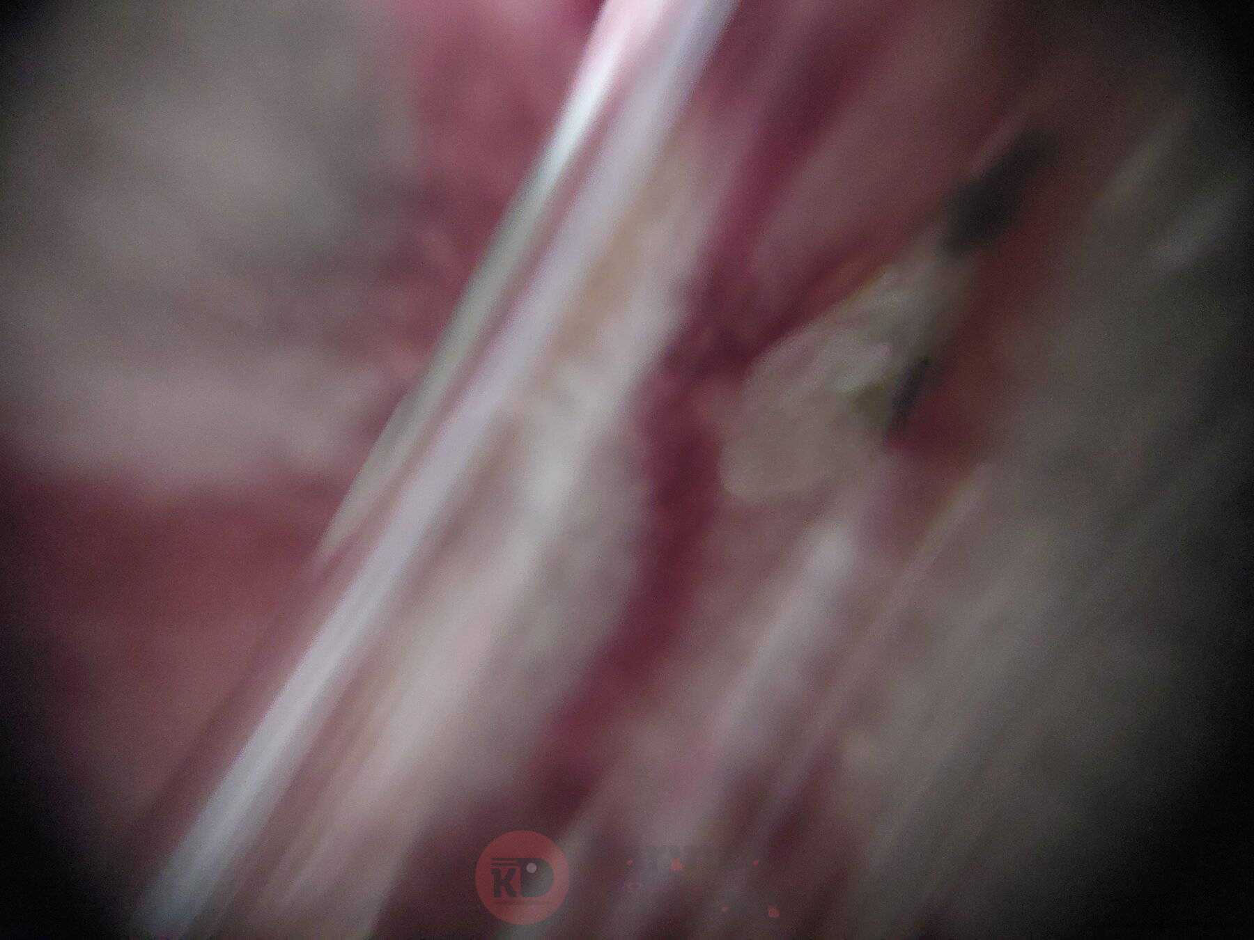 20220703_214436.jpg