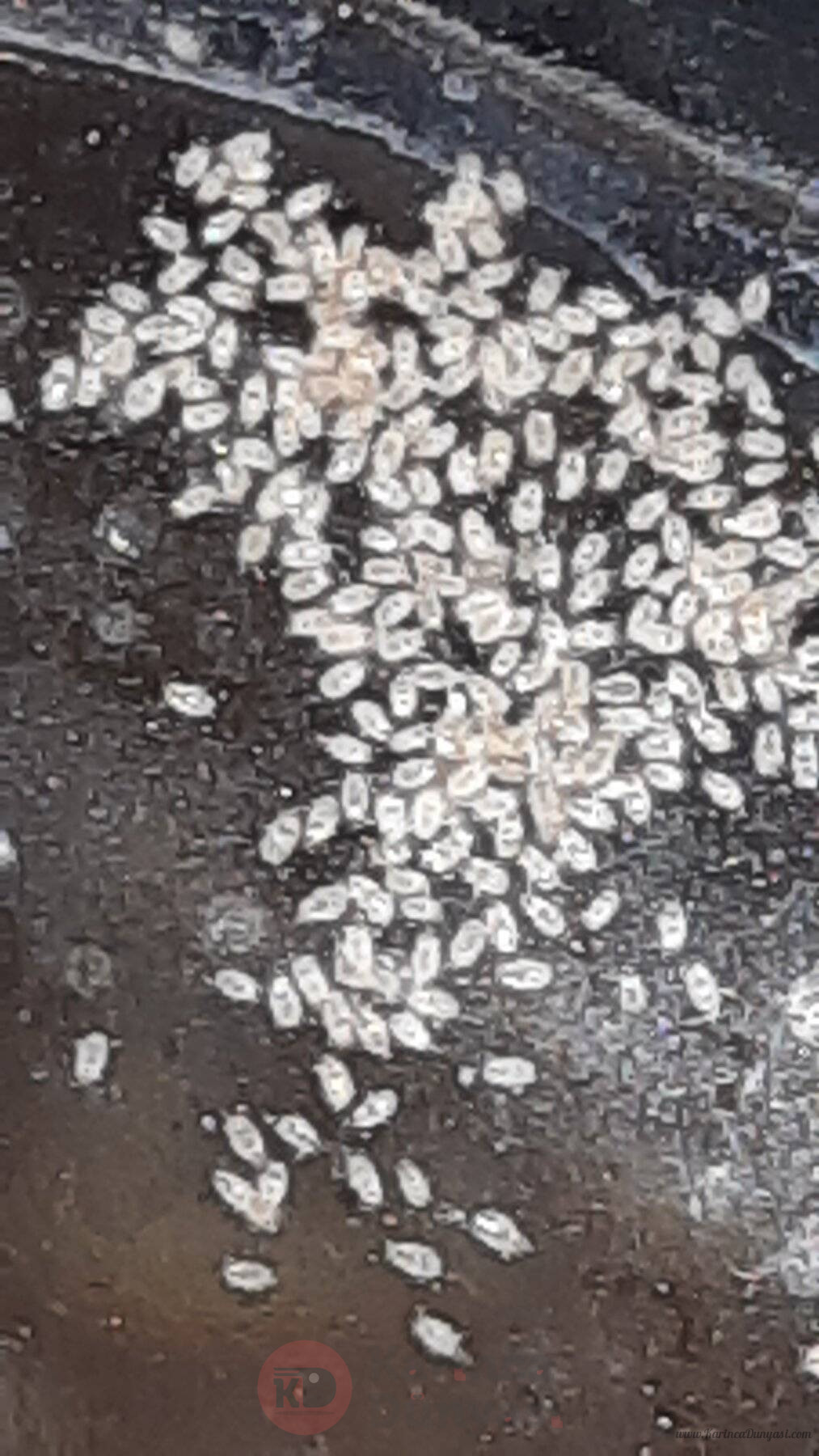 20220707_122735.jpg