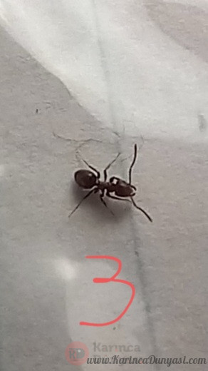 20220719_113724.jpg