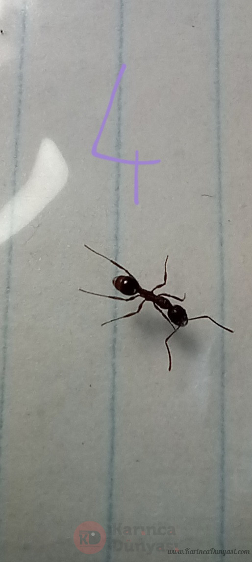 20220719_115557.jpg